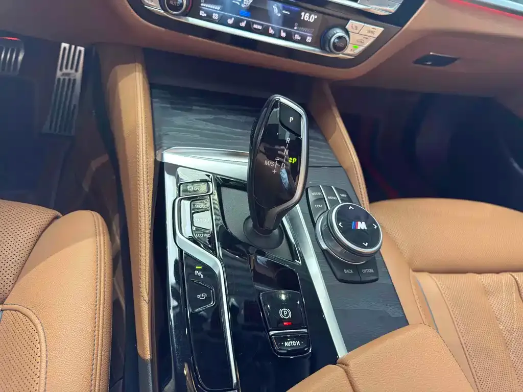 BMW 5 Series 2021 из CN, фото 2