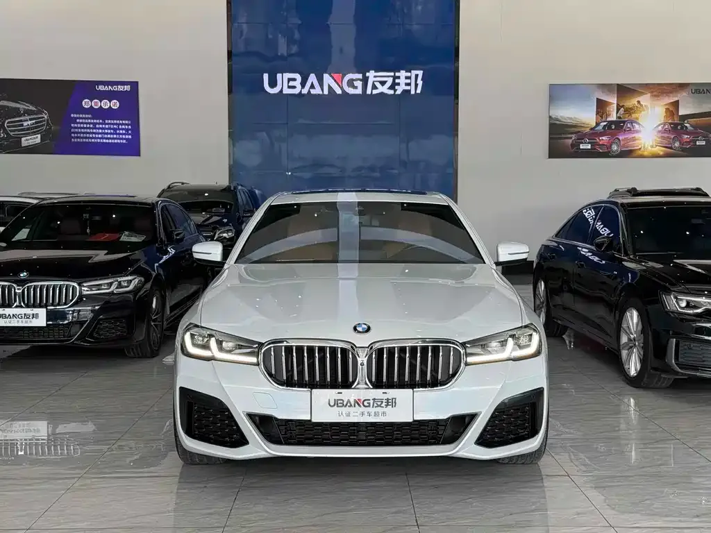 BMW 5 Series 2021 из CN, фото 8
