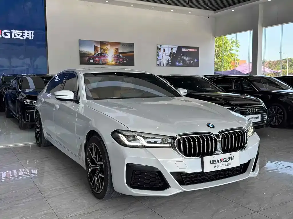 BMW 5 Series 2021 из CN, фото 10