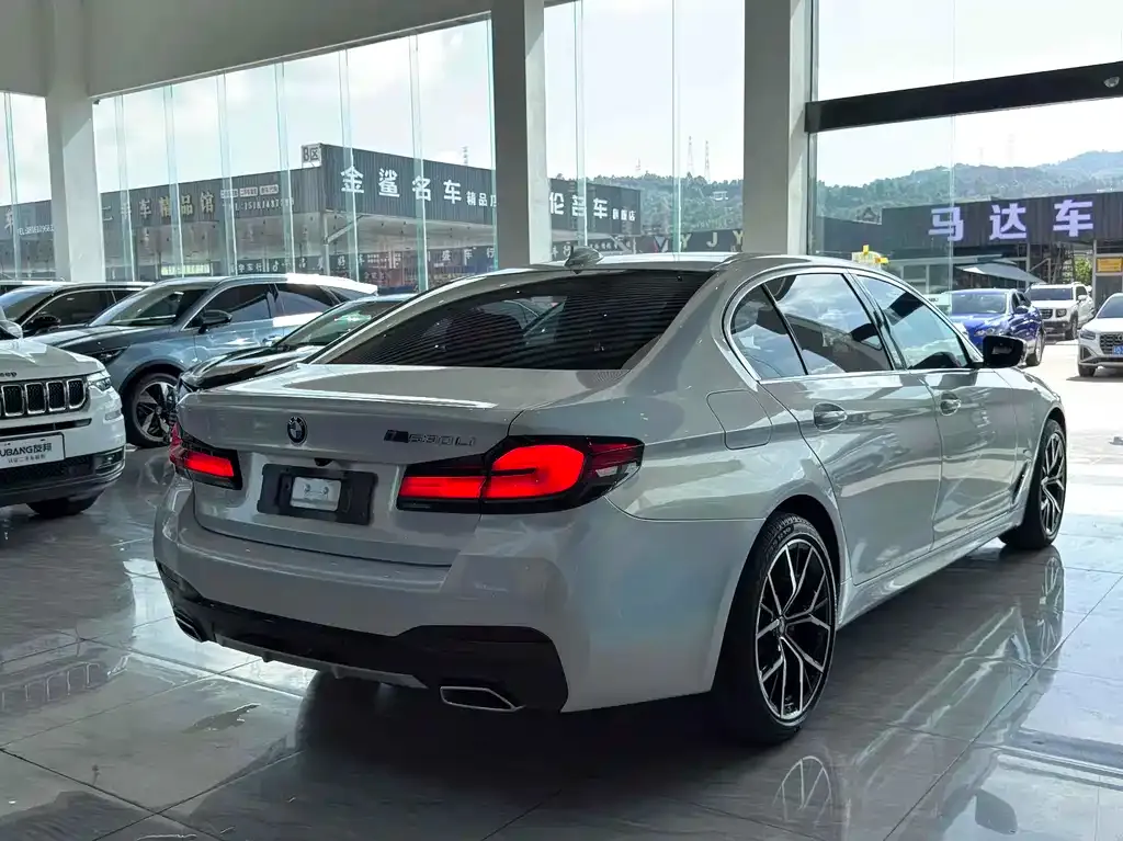 BMW 5 Series 2021 из CN, фото 9