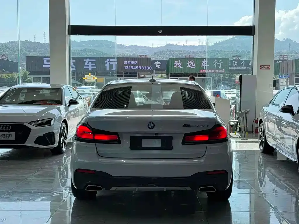 BMW 5 Series 2021 из CN, фото 3