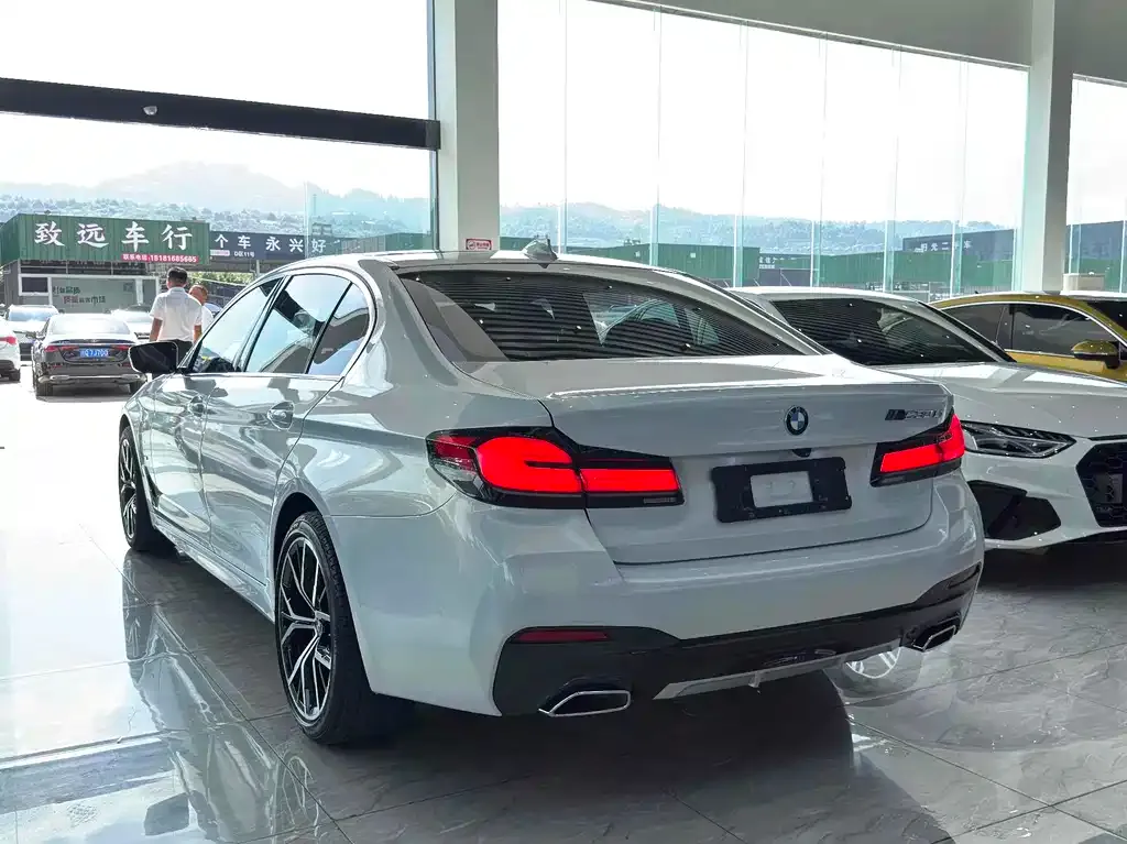 BMW 5 Series 2021 из CN, фото 7