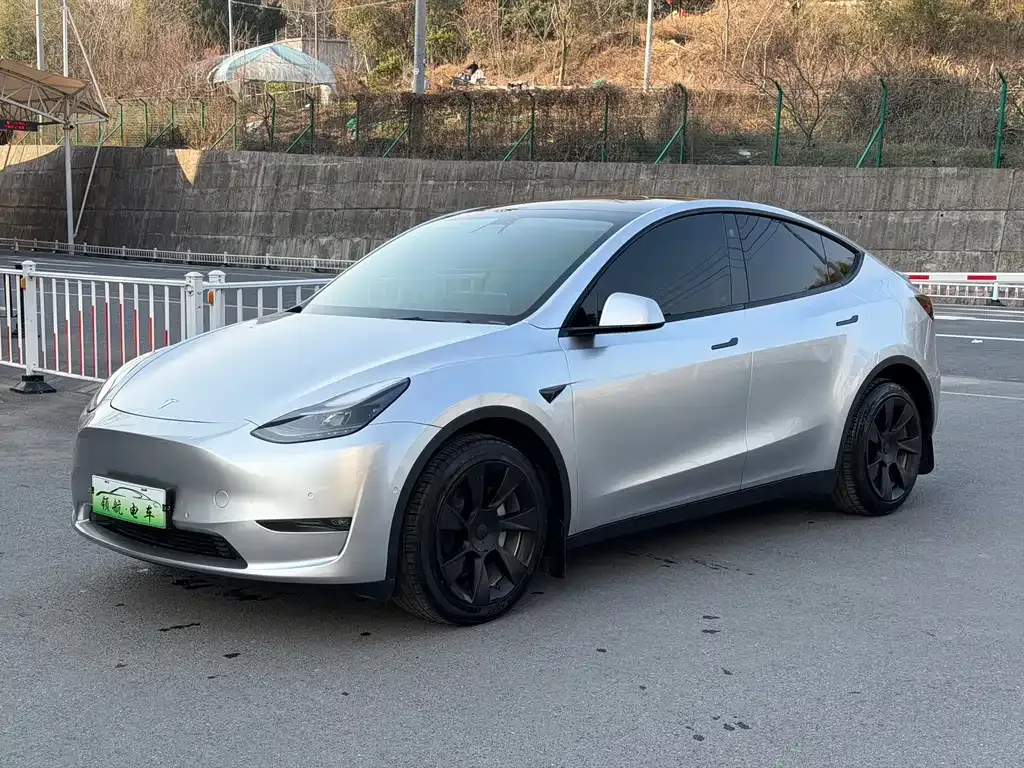 Tesla Model Y — фото 1
