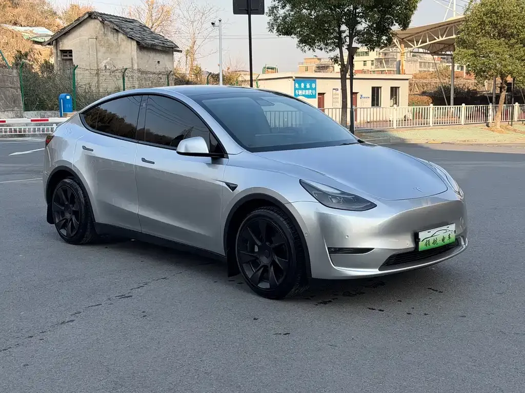 Tesla Model Y — фото 2