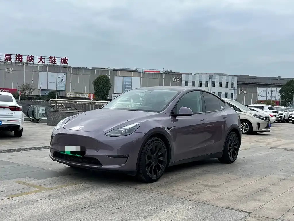 Tesla Model Y 2021 из CN, фото 1