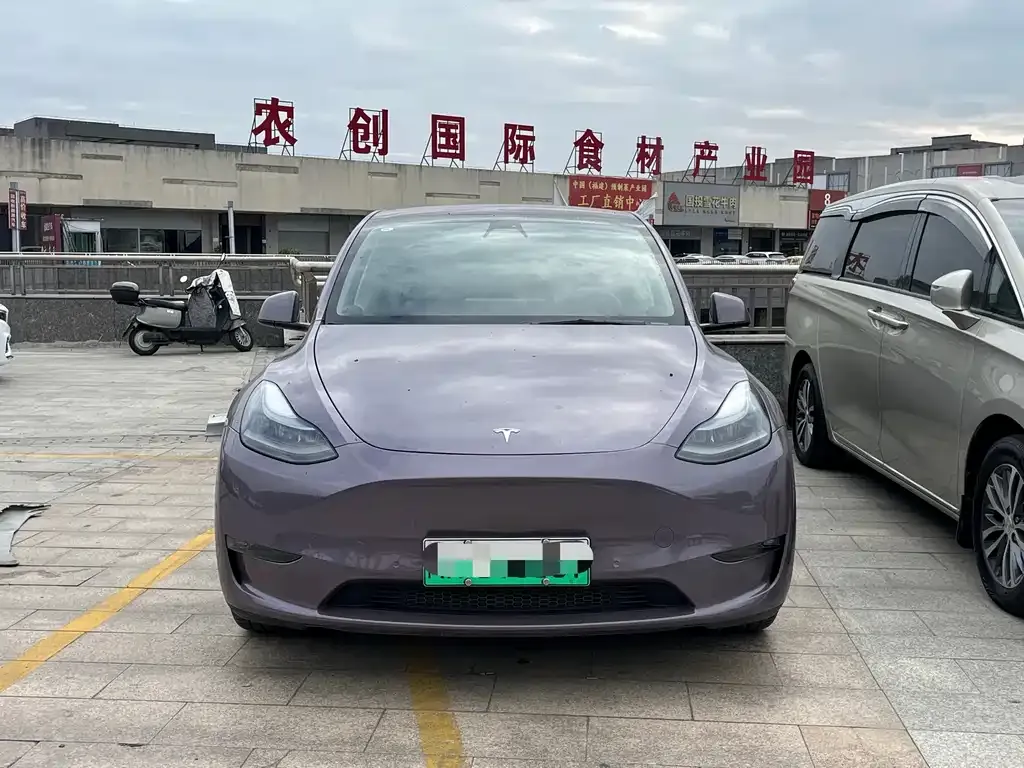 Tesla Model Y 2021 из CN, фото 3