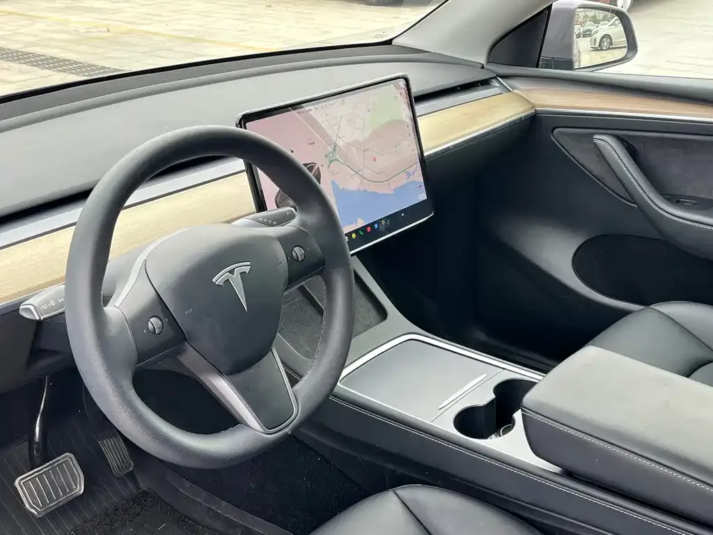 Tesla Model Y 2021 из CN, фото 6