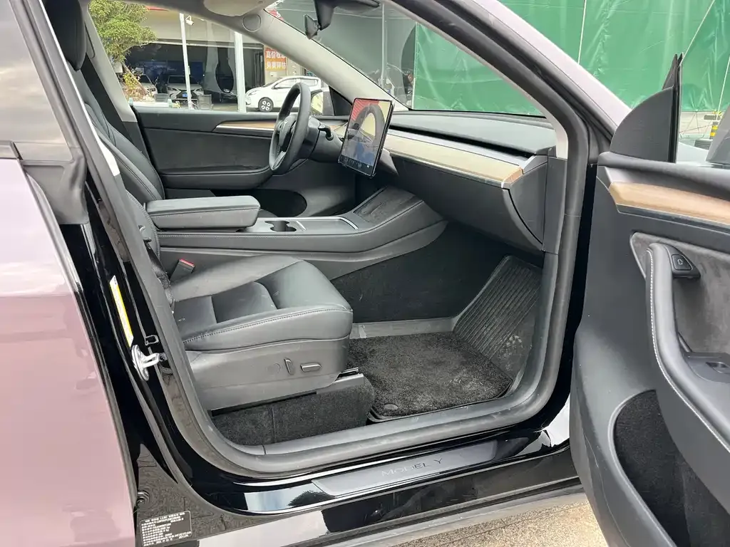 Tesla Model Y 2021 из CN, фото 7