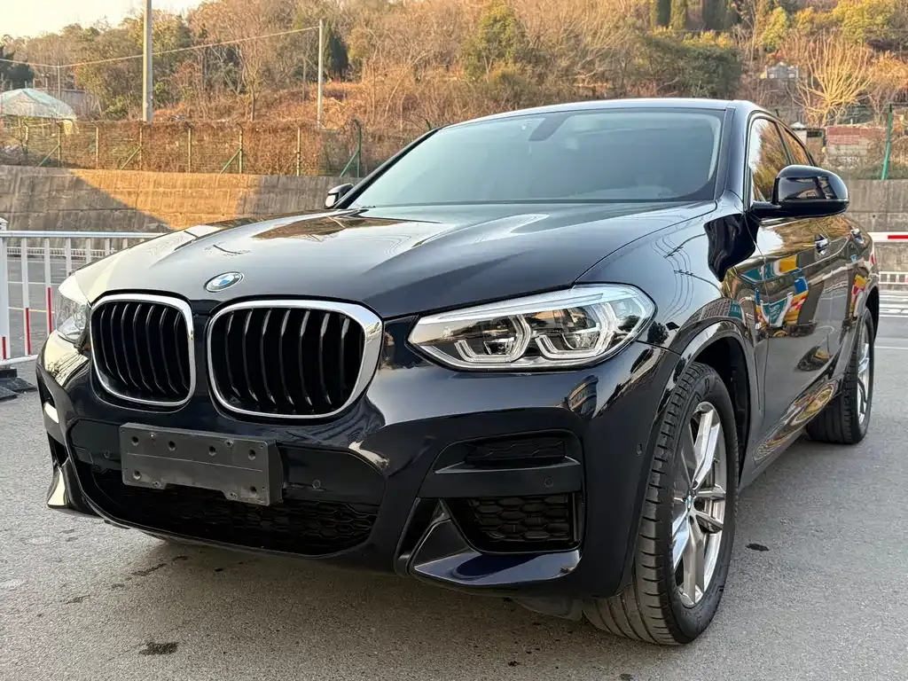 BMW X4 2021 из CN, фото 1
