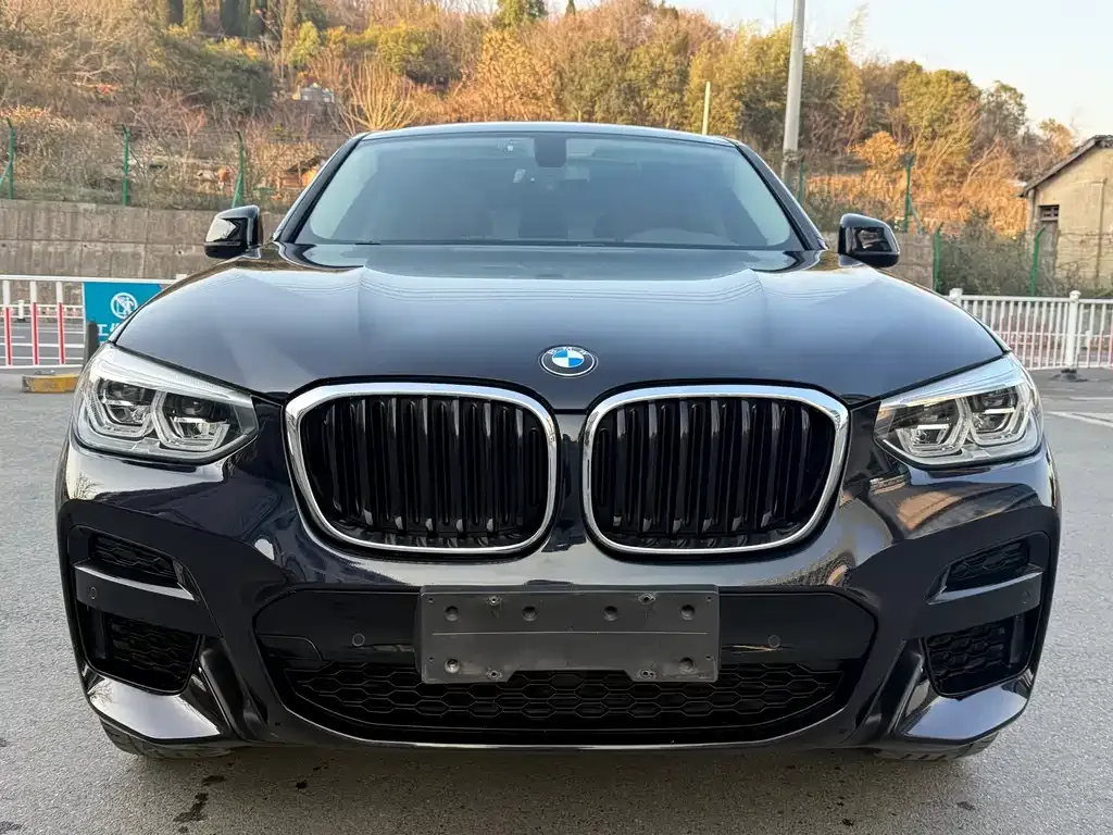 BMW X4 2021 из CN, фото 4