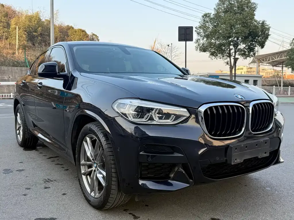 BMW X4 2021 из CN, фото 9