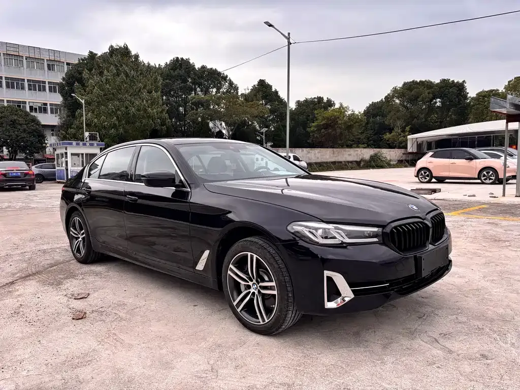 BMW 5 Series 2024 из CN, фото 3