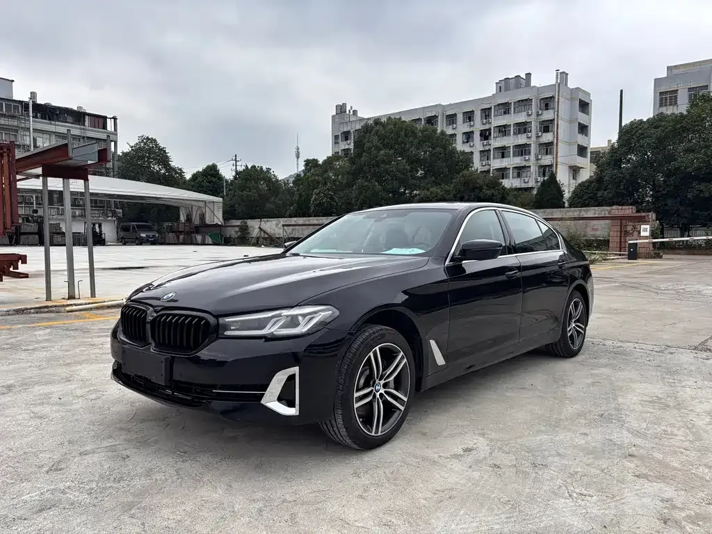 BMW 5 Series 2024 из CN, фото 5
