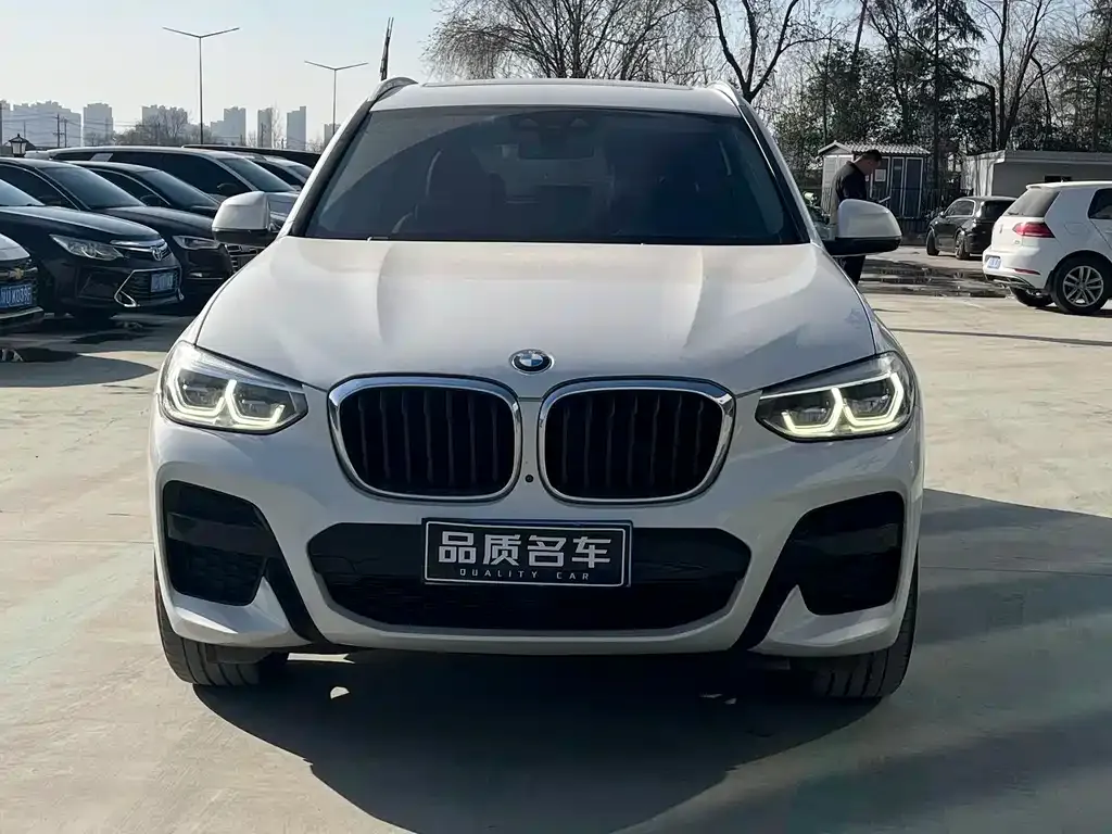 BMW X3 2021 из CN, фото 9