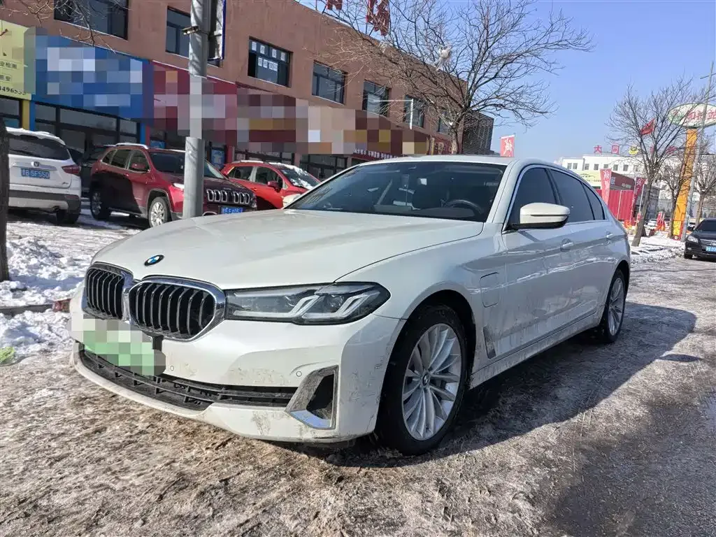 BMW 5 Series New Energy 2021 из CN, фото 1