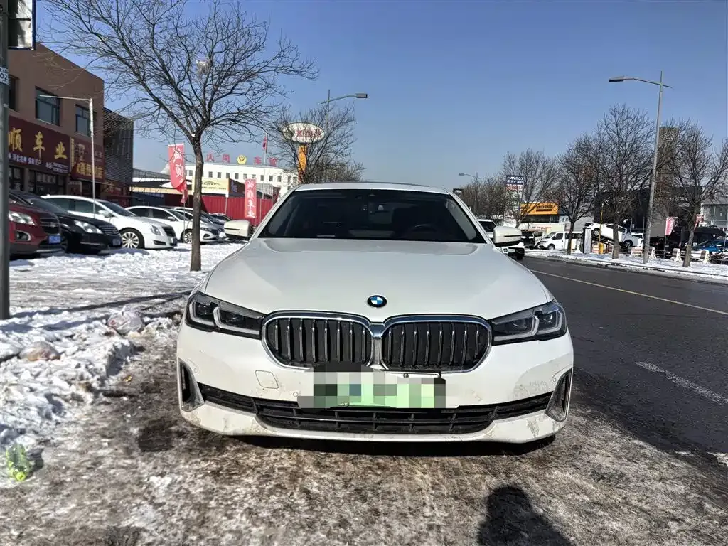 BMW 5 Series New Energy 2021 из CN, фото 9