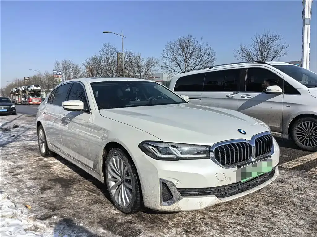 BMW 5 Series New Energy 2021 из CN, фото 6