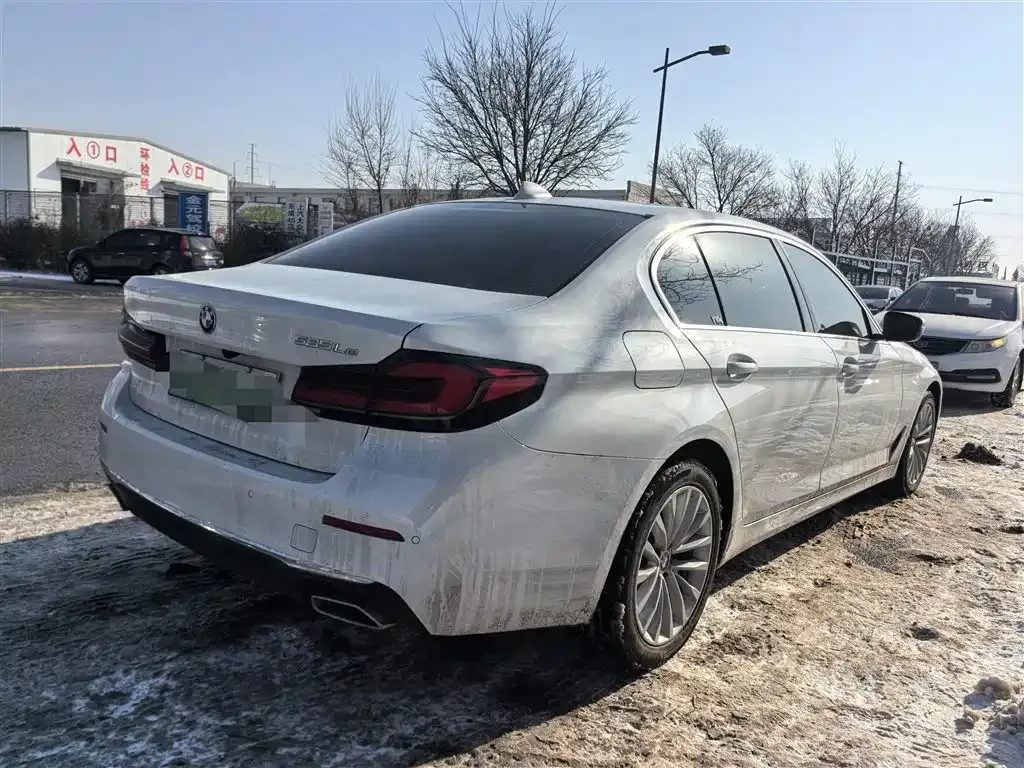 BMW 5 Series New Energy 2021 из CN, фото 5