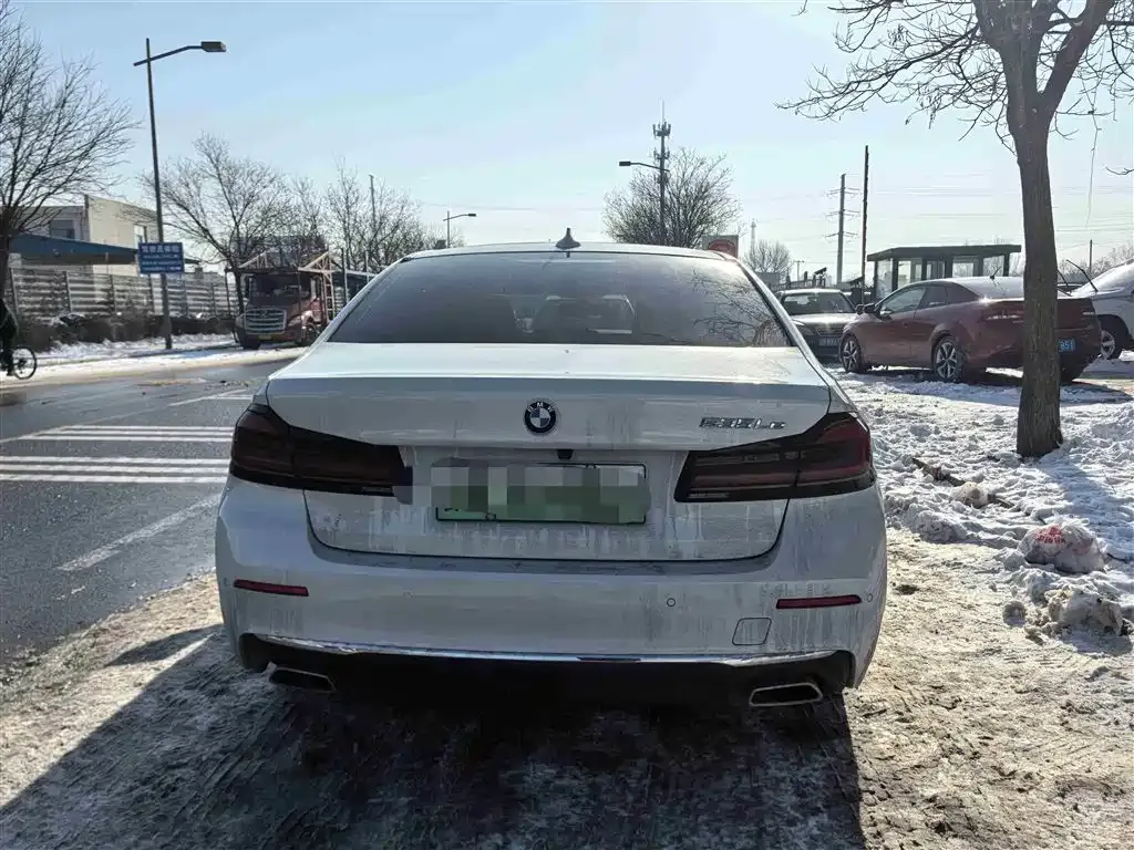 BMW 5 Series New Energy 2021 из CN, фото 2