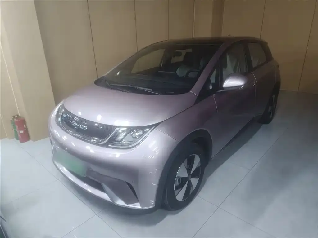 BYD Dolphin 2023 из CN, фото 3
