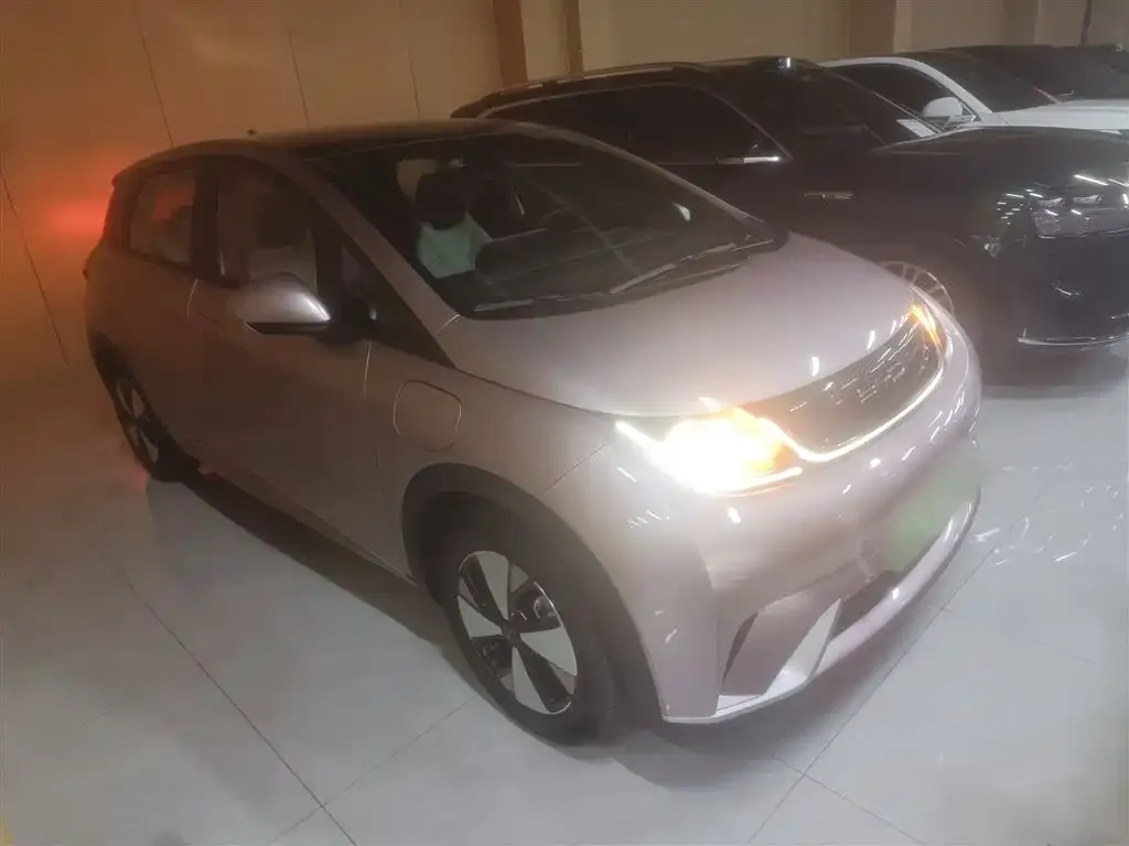 BYD Dolphin 2023 из CN, фото 9