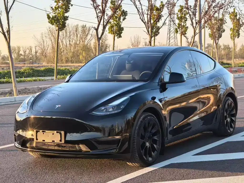 Tesla Model Y 2021 из CN, фото 1