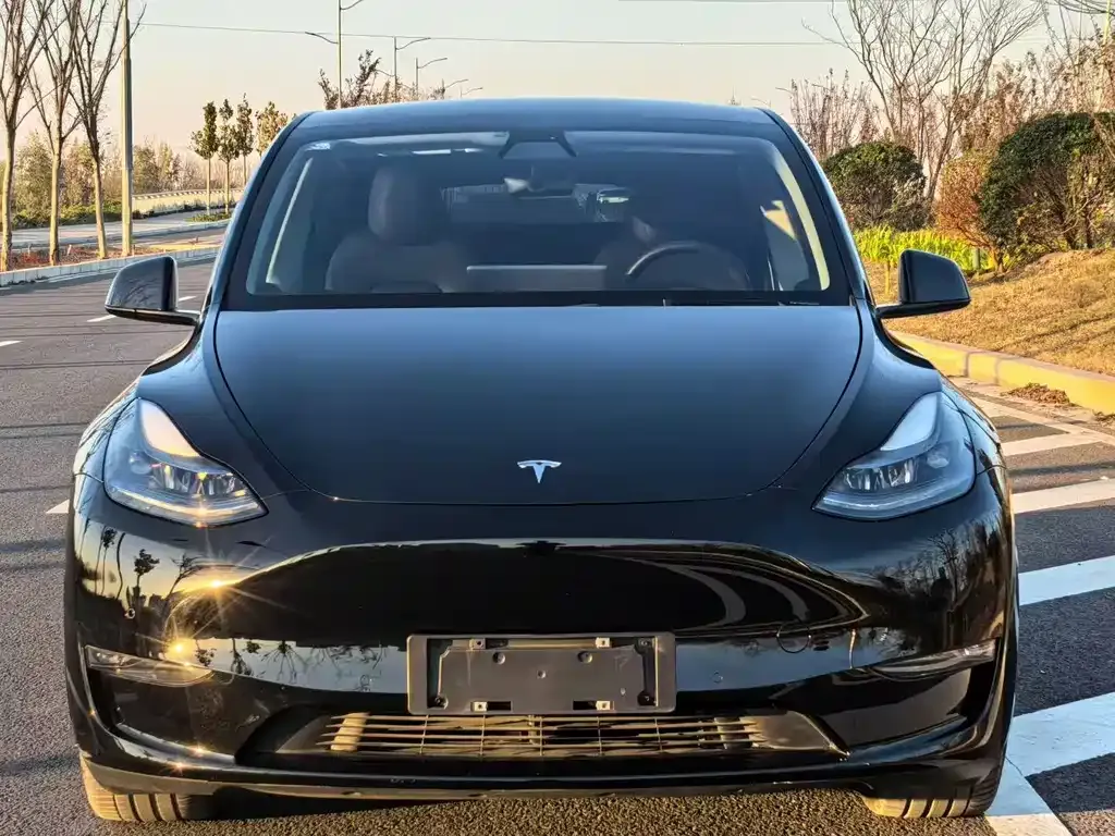 Tesla Model Y 2021 из CN, фото 4
