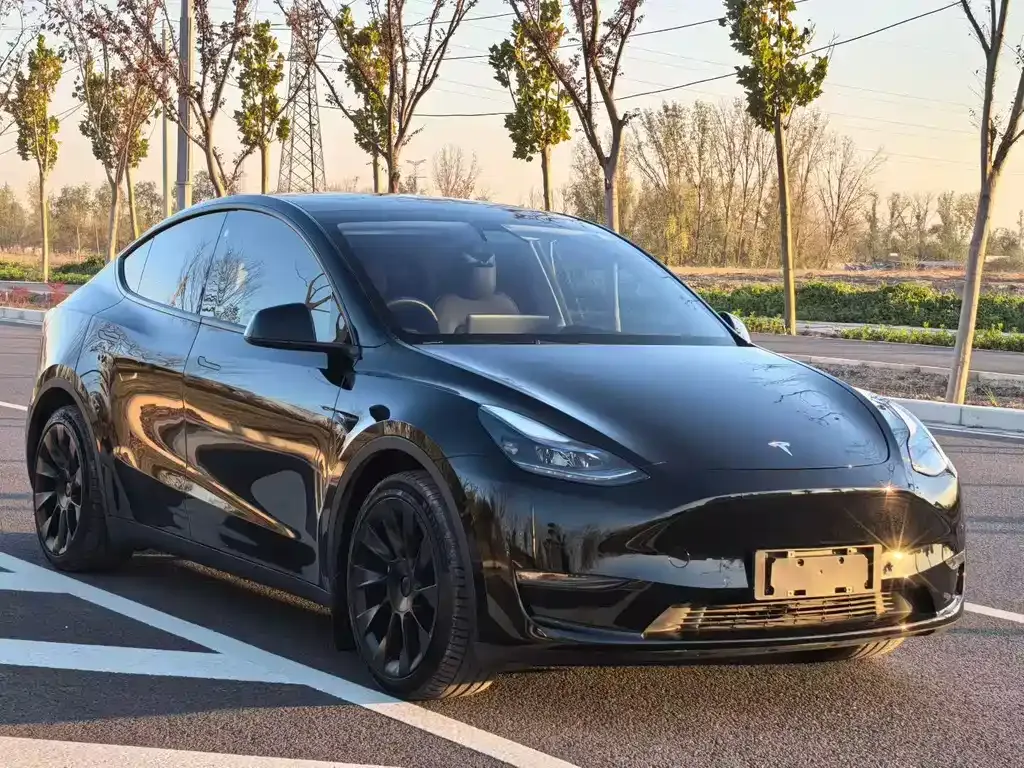 Tesla Model Y 2021 из CN, фото 2