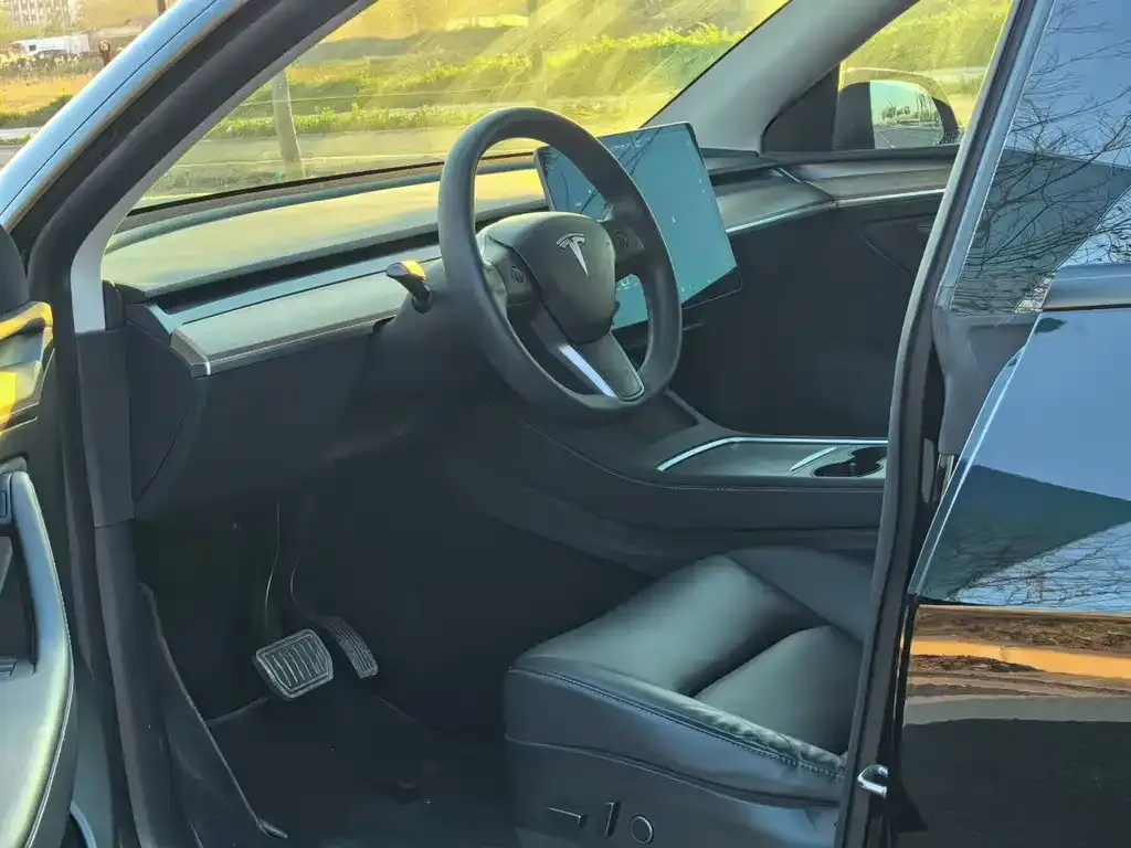 Tesla Model Y 2021 из CN, фото 5
