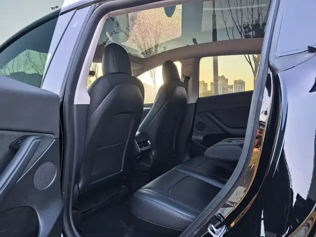 Tesla Model Y 2021 из CN, фото 3