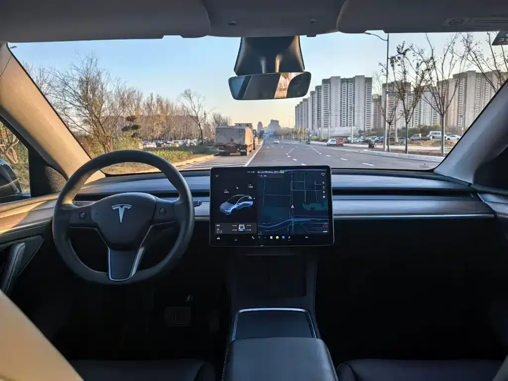 Tesla Model Y 2021 из CN, фото 6