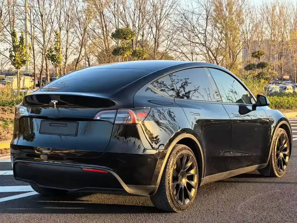 Tesla Model Y 2021 из CN, фото 9