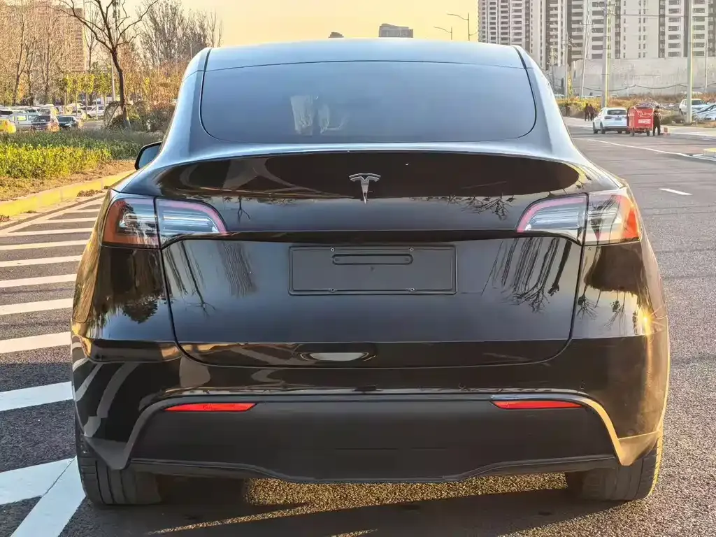 Tesla Model Y 2021 из CN, фото 8