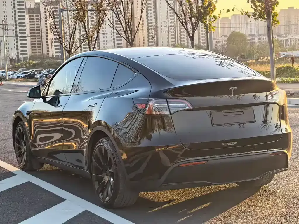 Tesla Model Y 2021 из CN, фото 7