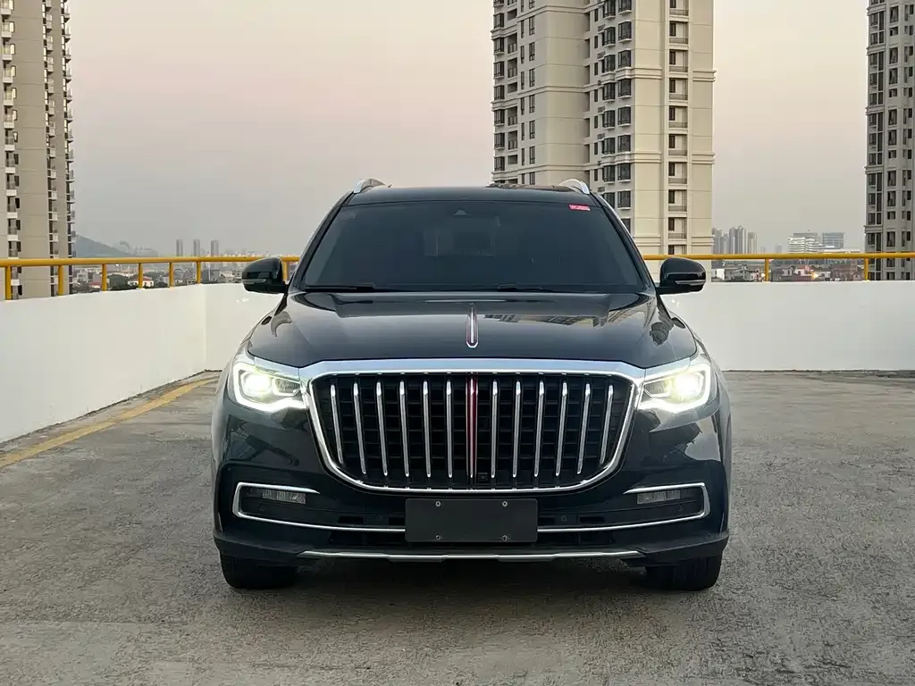Hongqi HS7 2021 из CN, фото 7