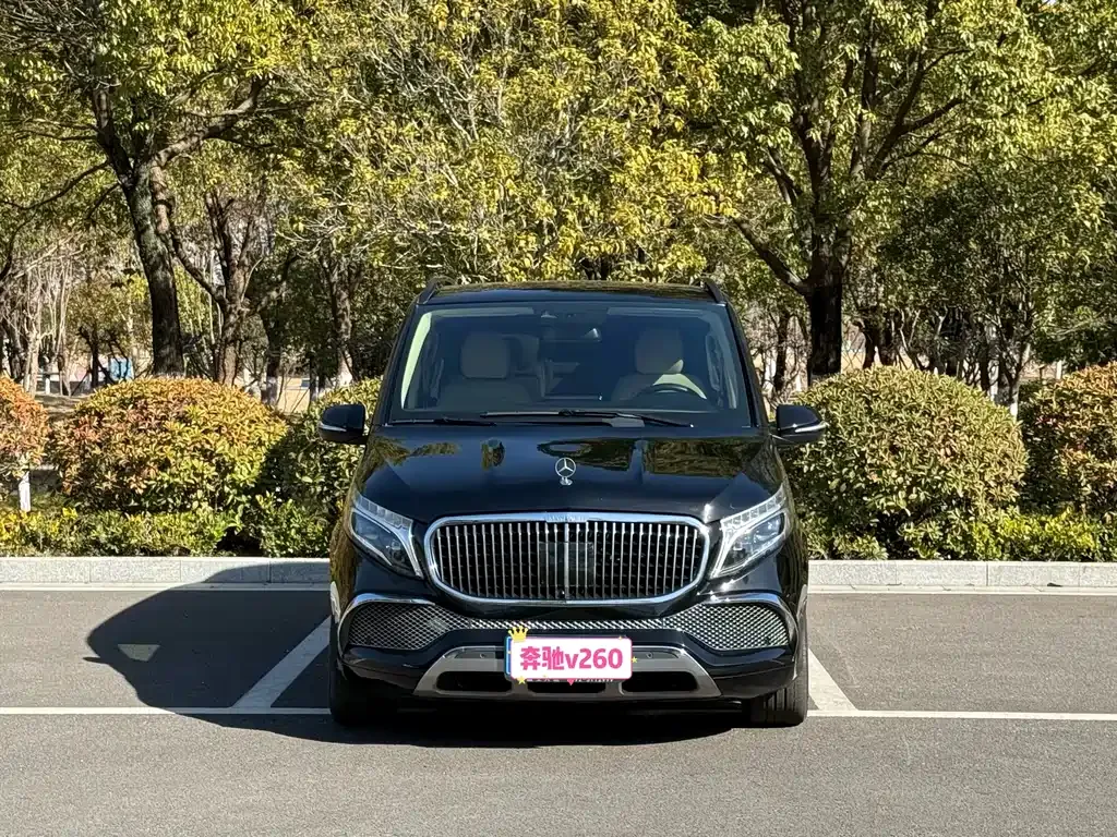 Mercedes-Benz V-Class 2021 из CN, фото 1