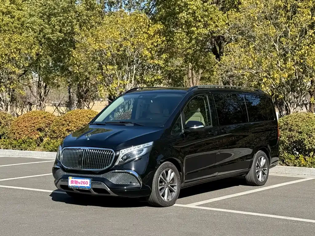 Mercedes-Benz V-Class 2021 из CN, фото 5