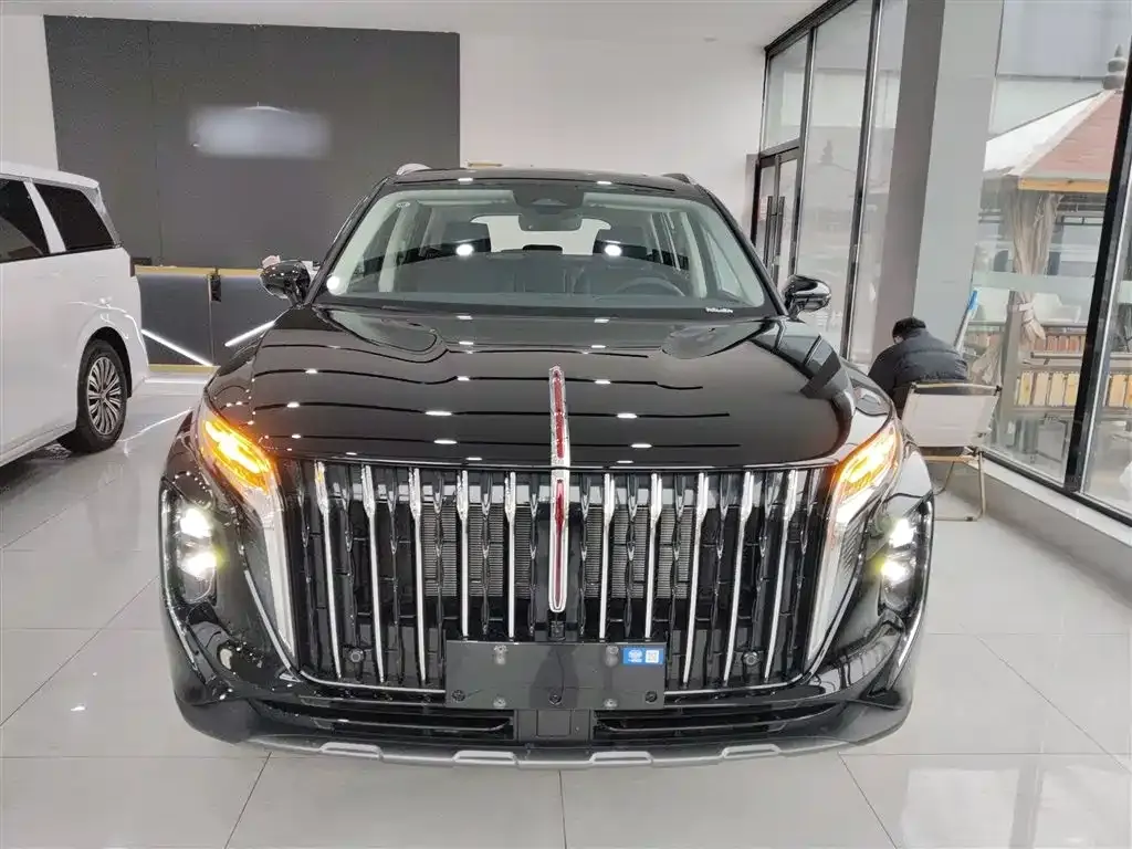 Hongqi HS7 PHEV 2025 из CN, фото 3