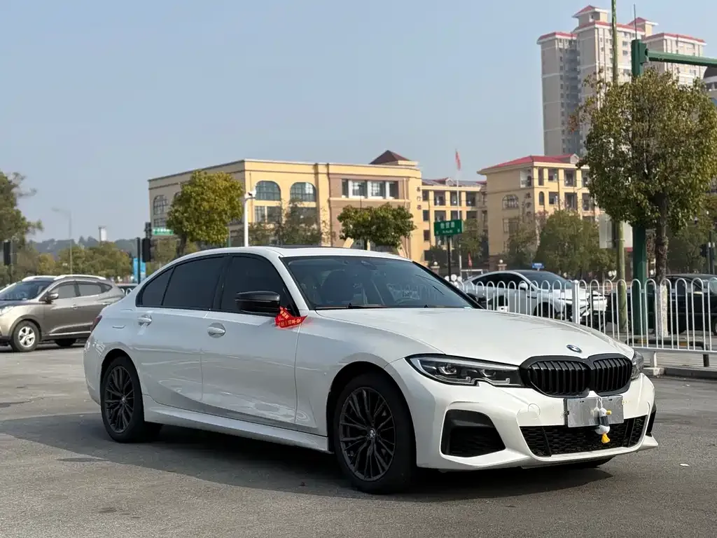 BMW 3 Series 2022 из CN, фото 6