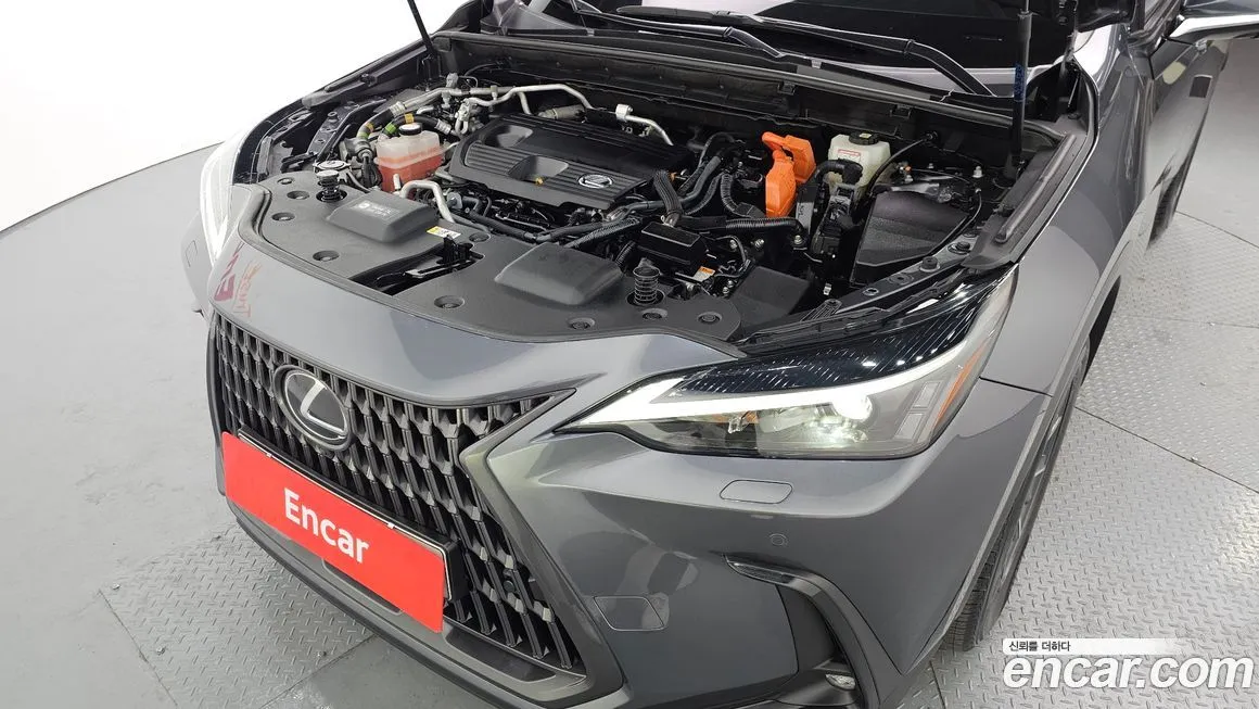 Lexus NX 2022 из KR, фото 7