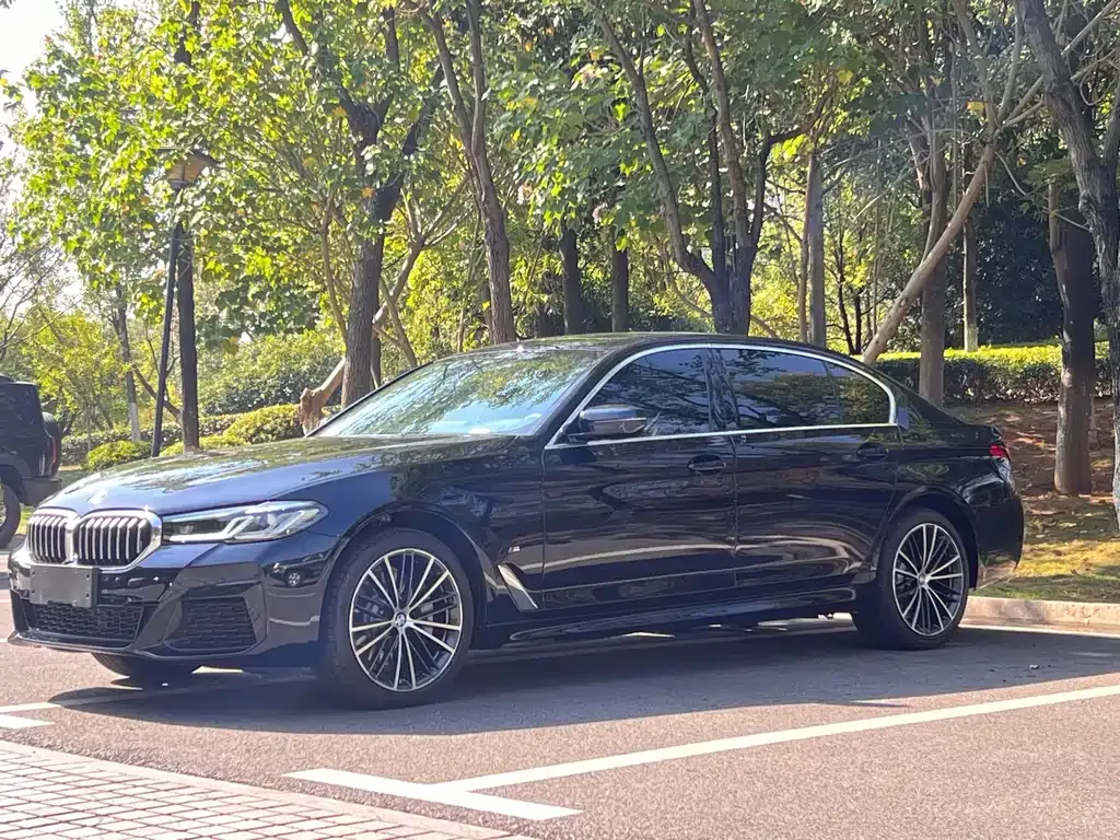 BMW 5 Series 2021 из CN, фото 1