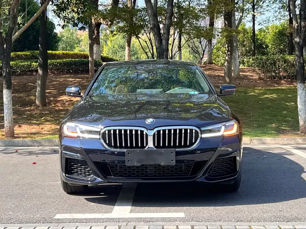 BMW 5 Series 2021 из CN, фото 5