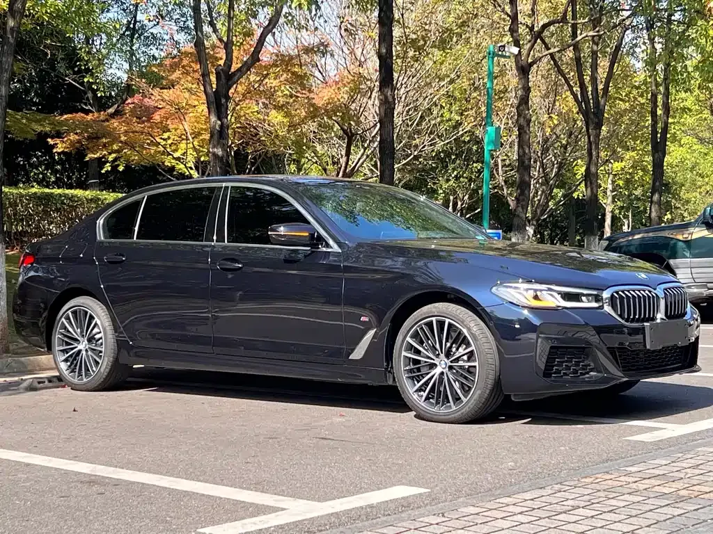 BMW 5 Series 2021 из CN, фото 4