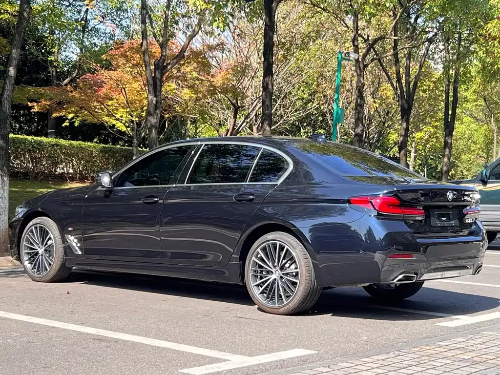 BMW 5 Series 2021 из CN, фото 7