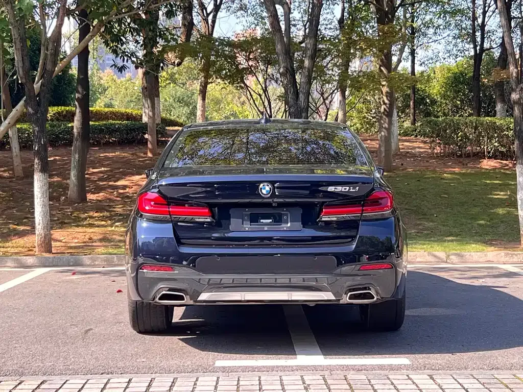 BMW 5 Series 2021 из CN, фото 8