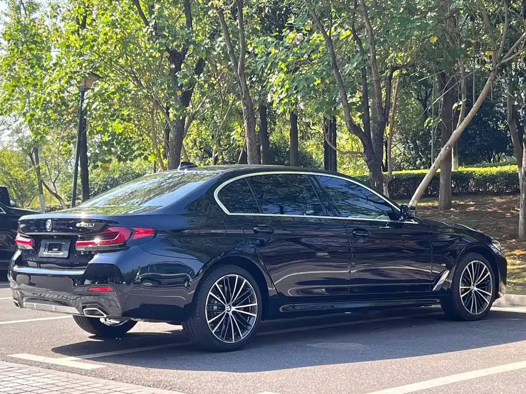 BMW 5 Series 2021 из CN, фото 9