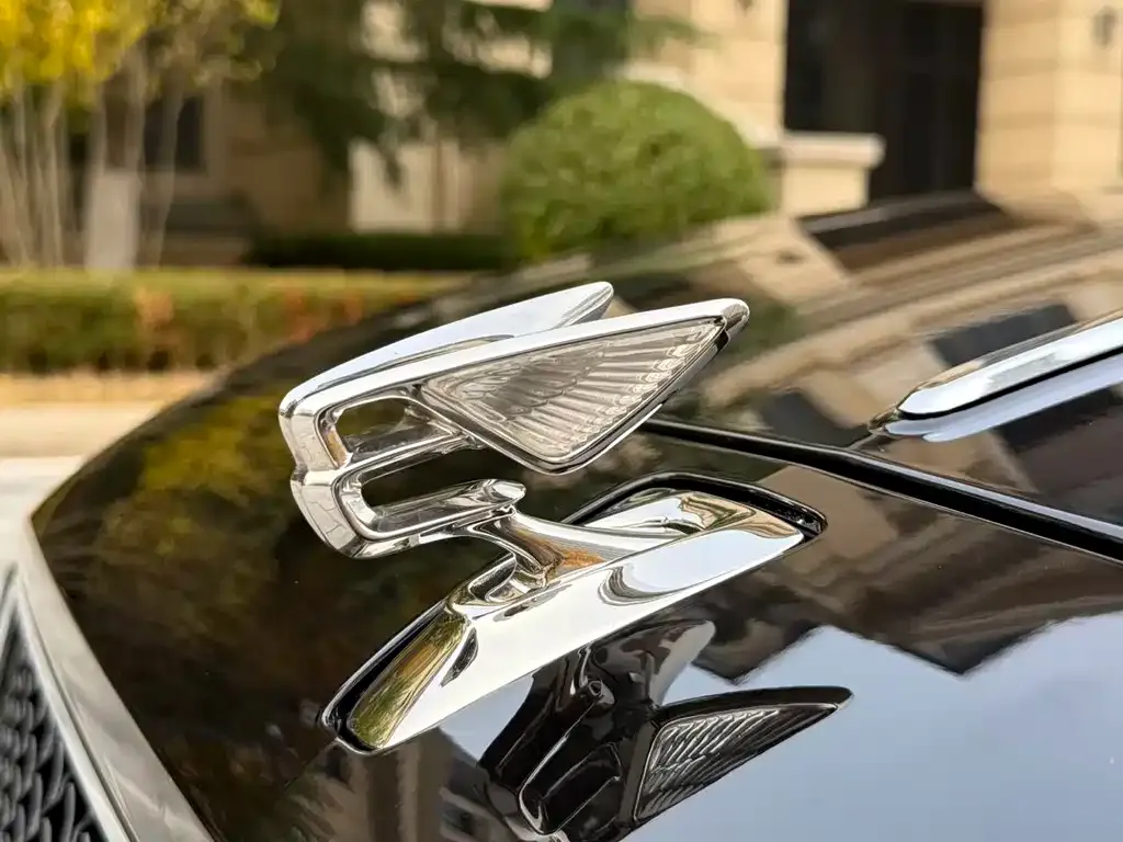 Bentley Flying Spur 2024 из CN, фото 3