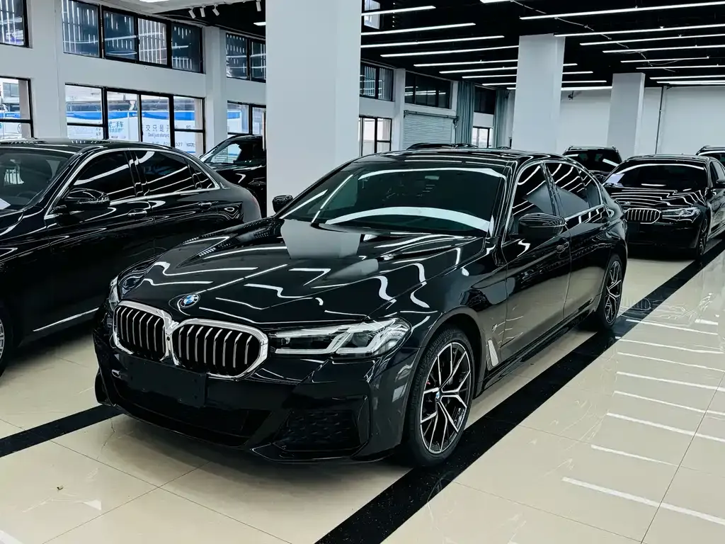 BMW 5 Series 2023 из CN, фото 1