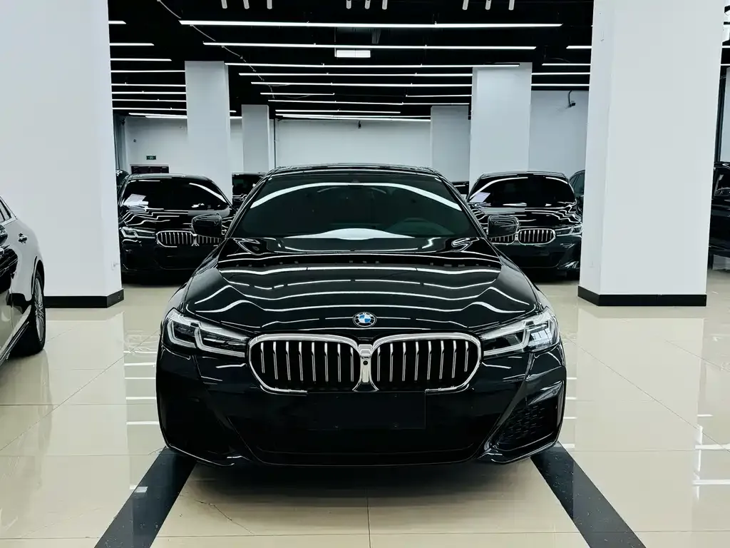 BMW 5 Series 2023 из CN, фото 8