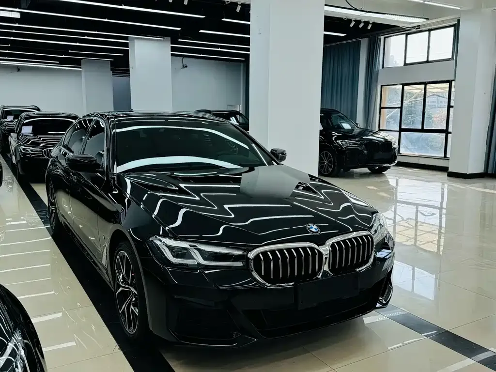 BMW 5 Series 2023 из CN, фото 9